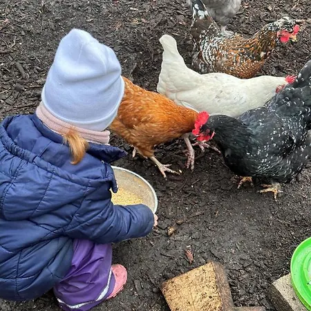 Apartamento Hof Baden,